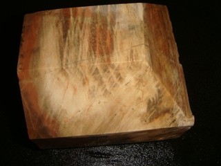 OLD PETRIFIED WOOD CUT SPECIMEN 4 1/2 POUNDS ARIZONA