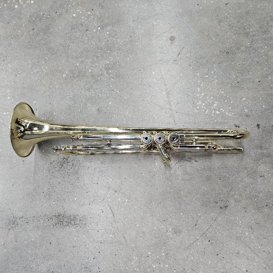 Trompeta Roy Benson Bb TR-202 Latón Amarillo con Estuche y Boquilla 5c y 7c Foto 4 de 4