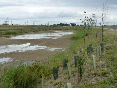 Photo A2 Pond on the edge of Stanground by-pass Farcet This recently ope c2011