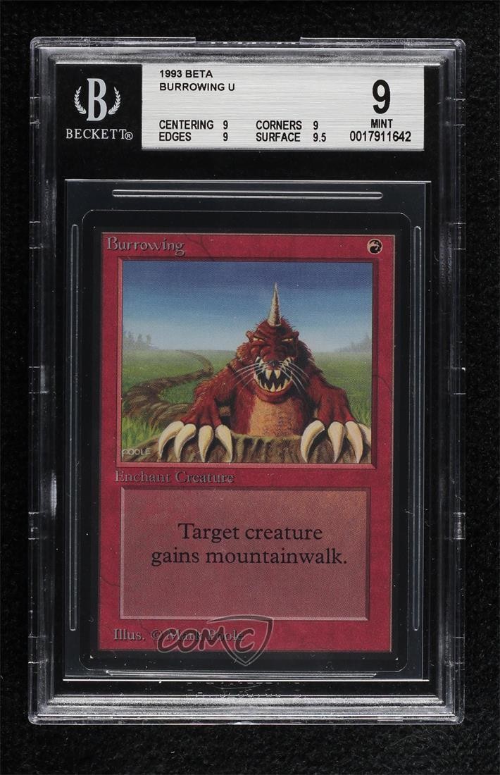 Burrowing Magic: Limited Edition Beta 1993