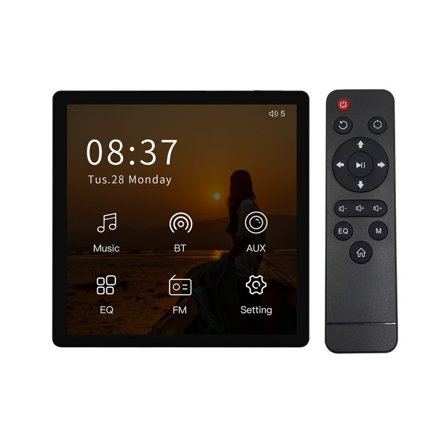 HELMER Wall Mount Bluetooth Receiver 