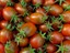 Indexbild 3 - Tomate Samen schwarz Kaiser Dark Tomaten Bio Samen Ukraine 20 Samen D