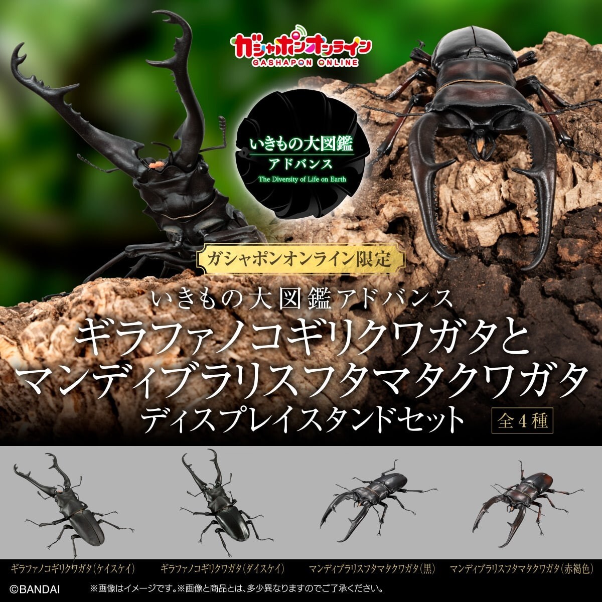 The Diversity of Life on Earth Giraffe Stag Beetle & Hexarthrius