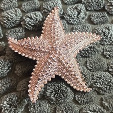 Gold Tone Textured Starfish Brooch Nautical Sea Star Coastal Beach Pin Accessory
