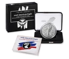 American Silver Eagle coin from a recent eBay sale