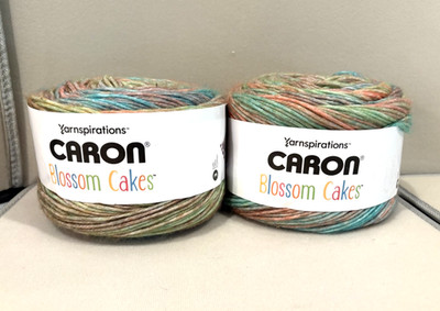 Set of 2  Caron Blossom Cakes Radiant Rainbow Self-Striping Yarn Medium