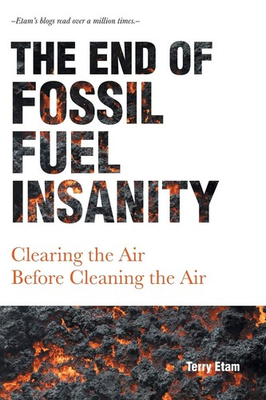 #ad The End of Fossil Fuel Insanity: Clearing the Air Before Cleaning the Air ... $5.66