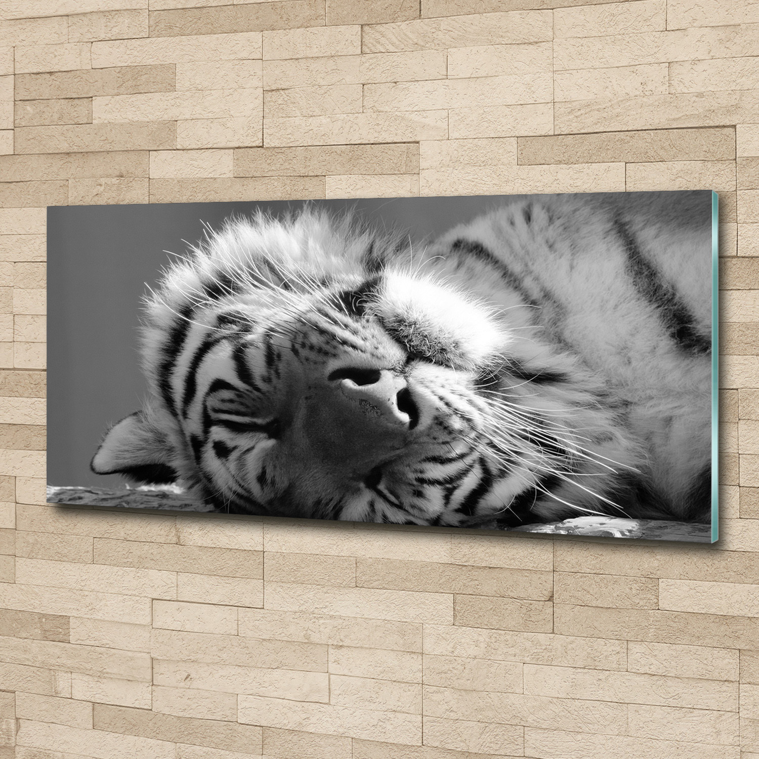 Glas-Bild Wandbilder Druck auf Glas 125x50 Deko Tiere Müder Tiger