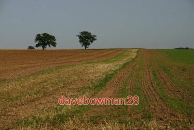 PHOTO  FIELD AT ASHMORE FARM IN A GRID SQUARE ALMOST DEVOID OF FEATURES THIS IS