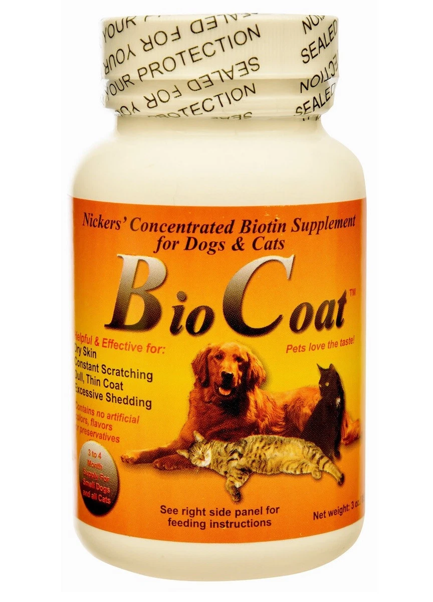 Can You Give Dogs Biotin