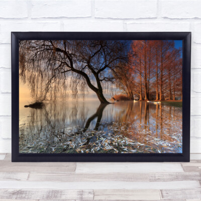 Landschaft Sonnenaufgang Wolken Nebel See Blätter das erste Licht Wandkunstdruck