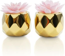 Mini Artificial Succulent Plants Pink Golden Ceramic