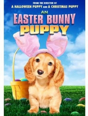 Easter Bunny Puppy [DVD] [*READ* VG, DISC-ONLY]