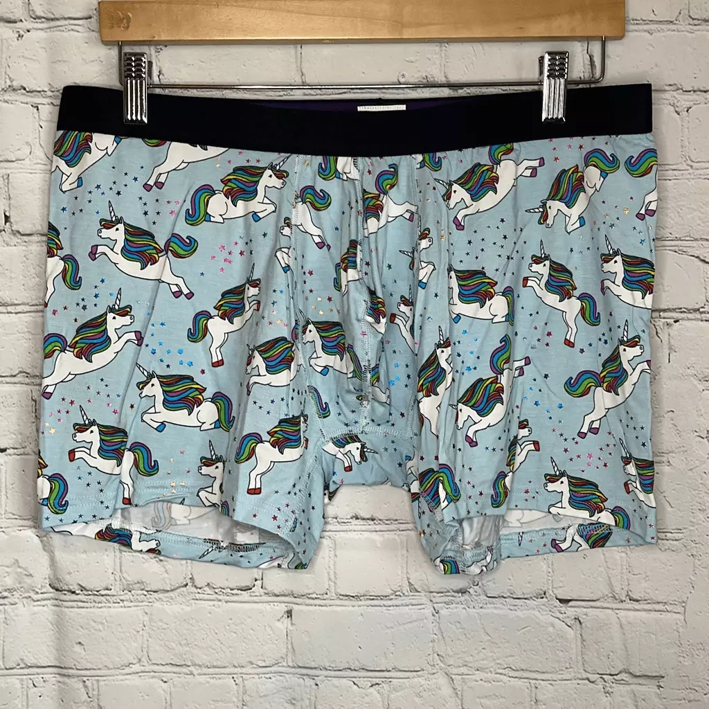 Unicorn boxer briefs 2025