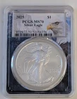 2025 PCGS MS 70 SILVER EAGLE 1 OZ EAGLE LABEL COIN SKU 972977.70/51054356