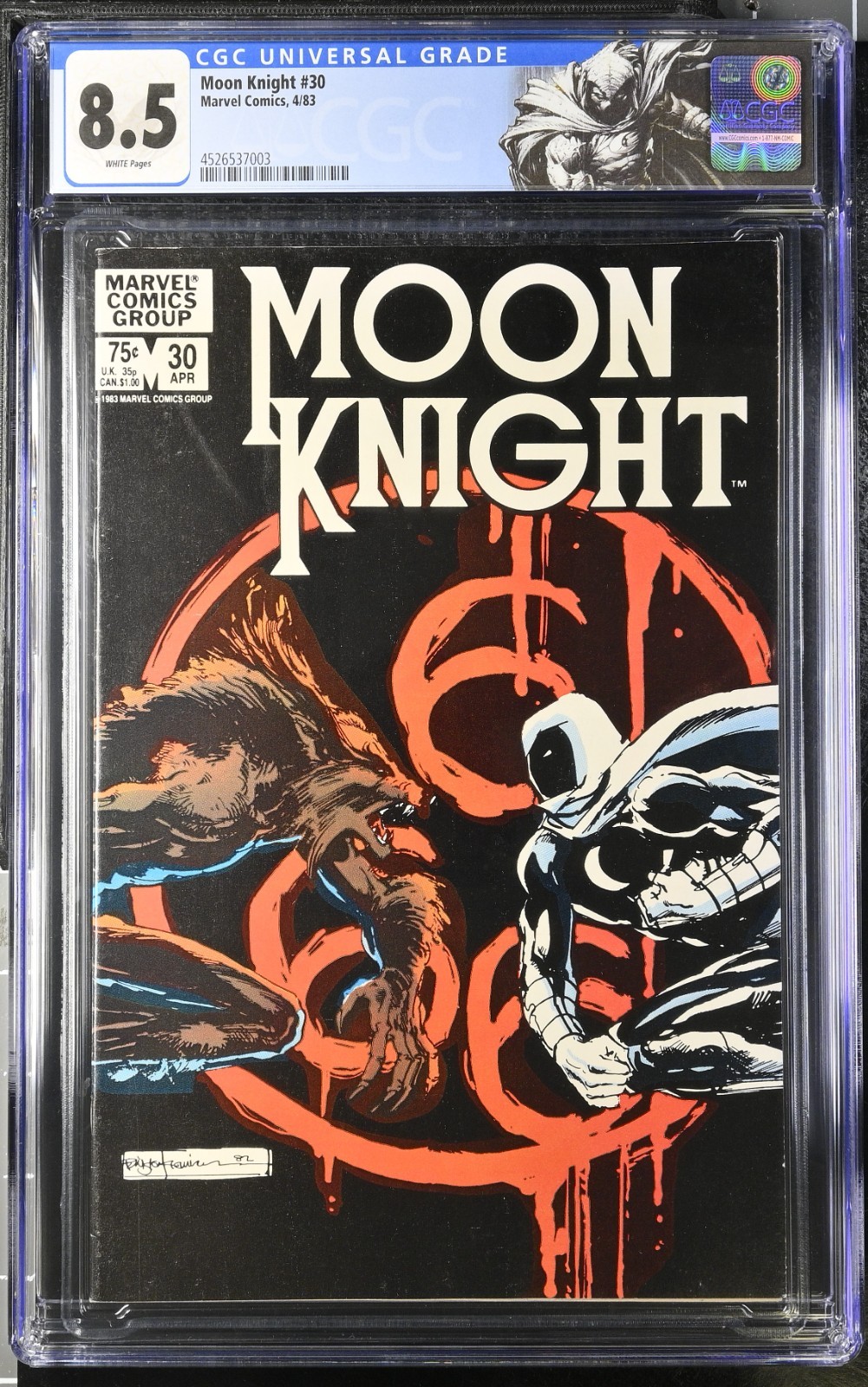 レア品種&コルク付け】 P. 'Moon Knight' OC pup P. Moon knight (pup