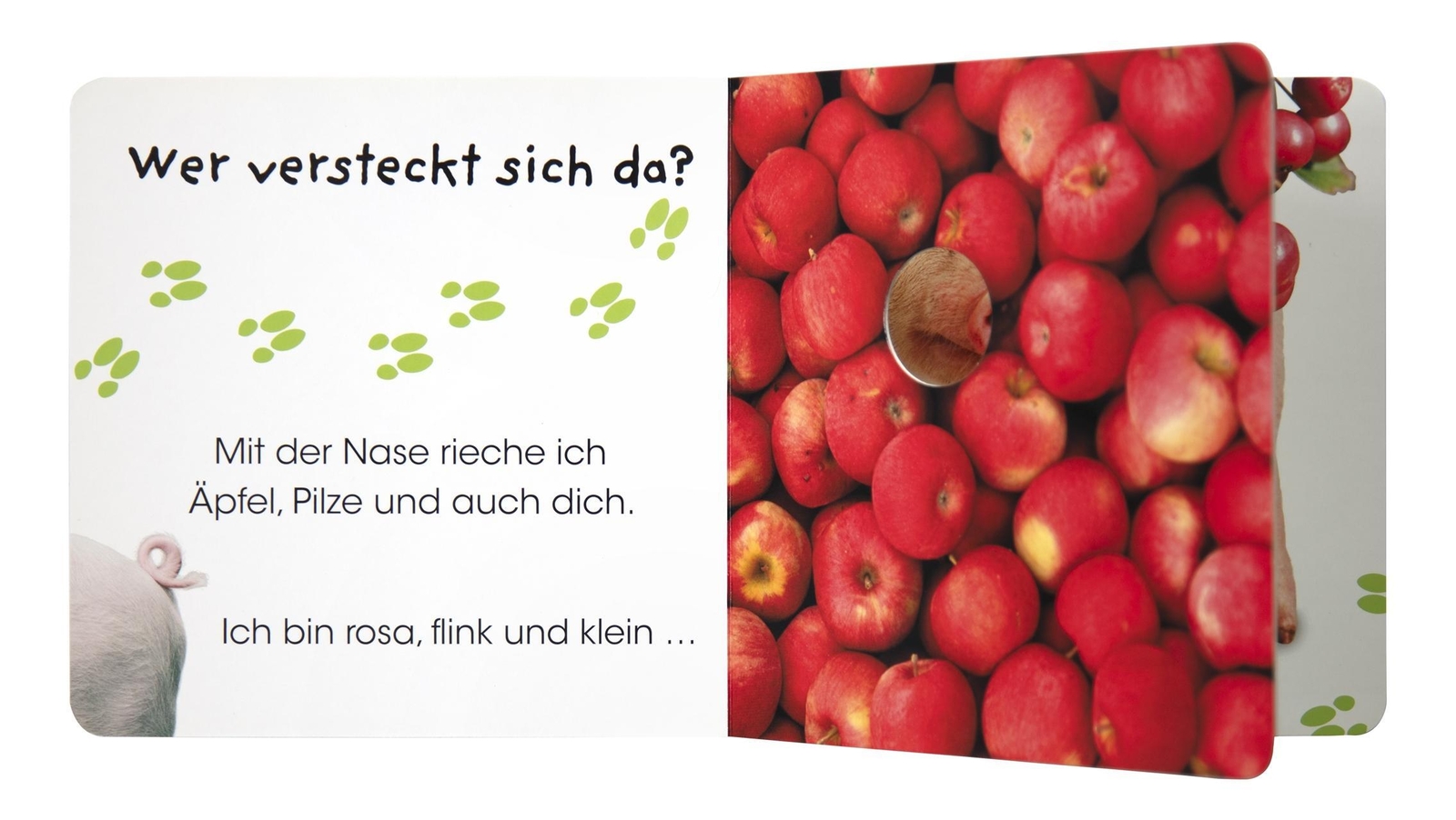 Thumbnail - Wer Versteckt Sich Da. Tiere Auf Dem Bauernhof Sandra Grimm Buch 28 S.