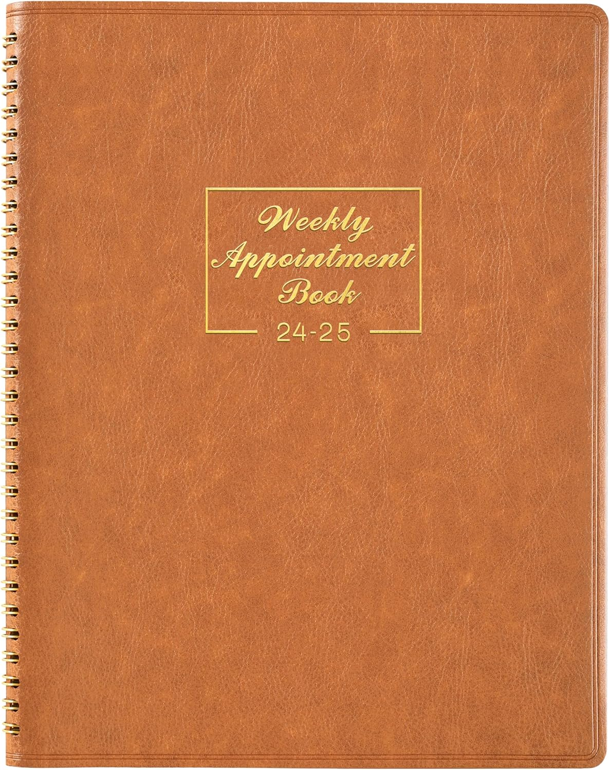 2024-2025 Weekly Appointment Book - JUL 2024 - JUN 2025, Daily Hourly Planner 20