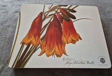 The Garden Table Placemats Set of 6 Floral Design Botanical Large Christmas Bell