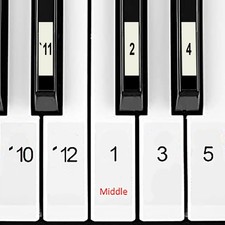 Numbered Piano Keyboard Stickers in Classic Numbers Design with 4 Easy to Pla...