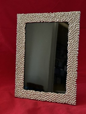Vintage Michael Aram Picture Frame ''Mantaray'' for 4x6 Photo Discontinued Y2K