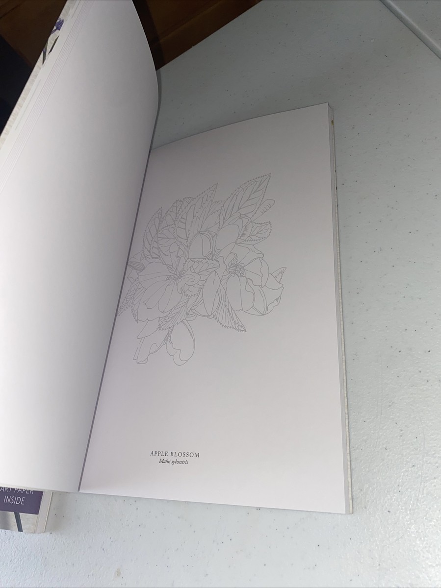 Miread M. Platt 水彩画 ジャングル植物 Miread M. Platt 水彩画 ジャングル植物 Miread M. Platt 水彩画