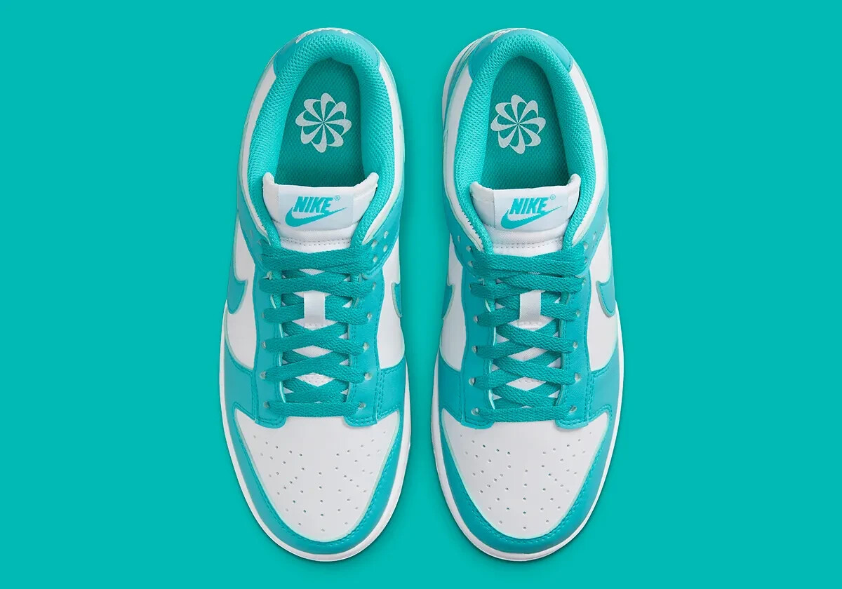 Nike Dunk Low Next Nature Shoes 'Dusty Cactus' DD1873-105