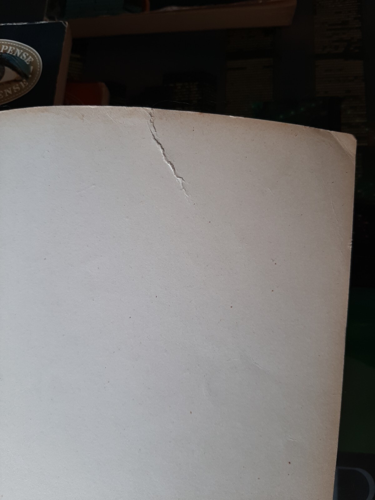Foto 5 di 6