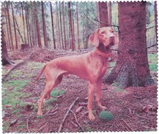 Brillenputztuch personalisiert Brillentuch Logo Motiv Wunschmotiv Foto