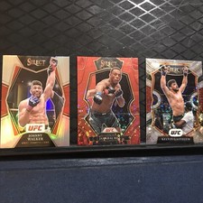 UFC Johnny Walker Kelvin Gastelum Jamahal Hill (58/99)