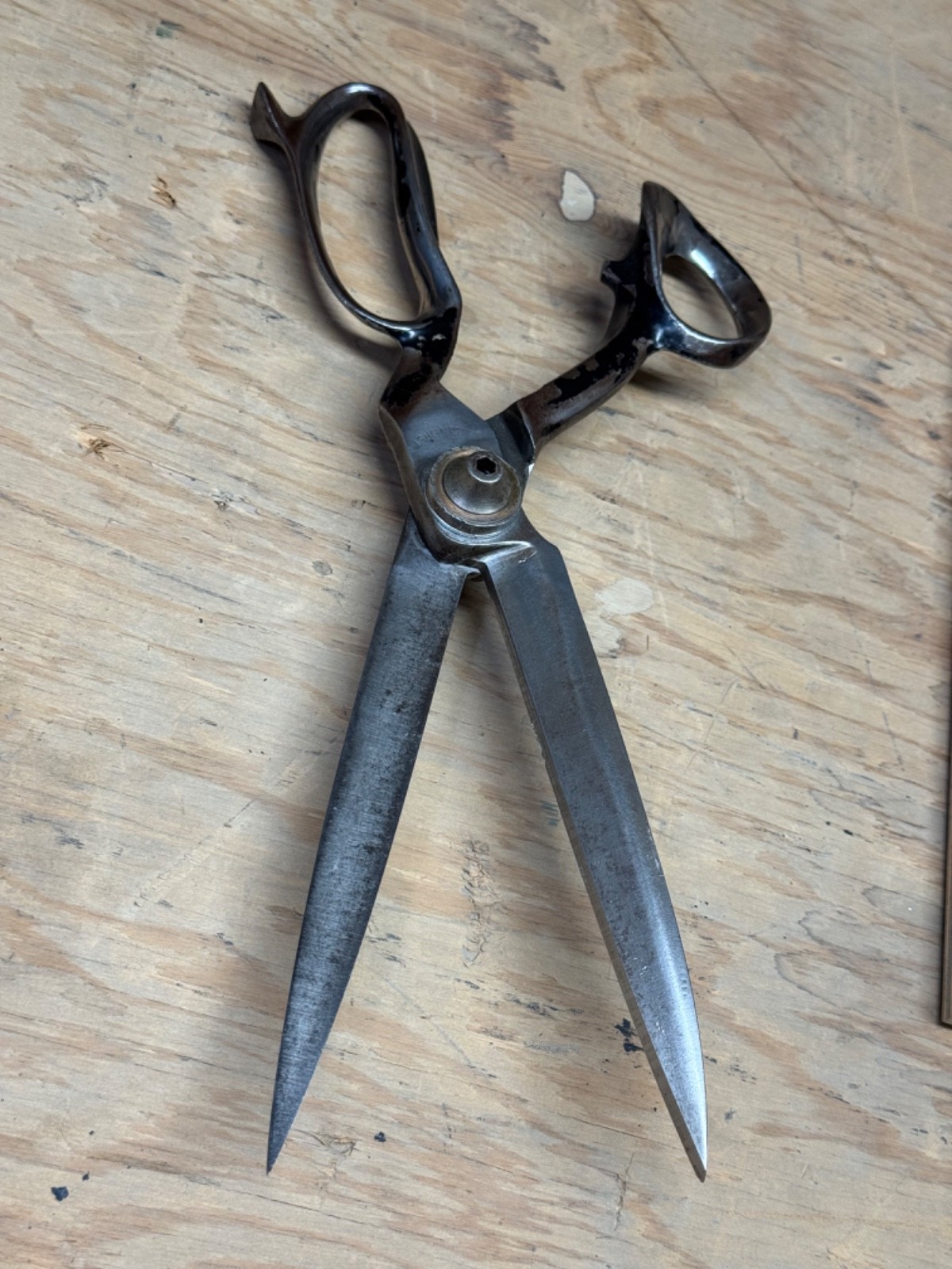 Antique Tailor Shears 13" no markings possibly Clauss