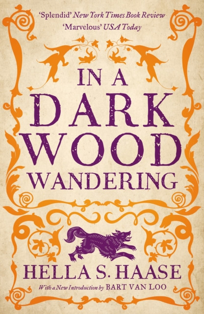 In a Dark Wood Wandering by Hella S. Haasse (Paperback Book)
