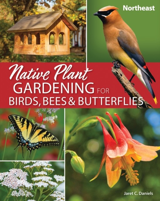 Native Plant Gardening for Birds Bees & by Jaret C. Daniels (PB 2022) - Image 3
