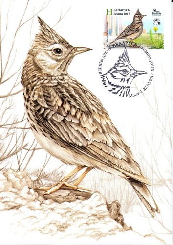 Belarus 2017 Bird of the year - 1 maxicard