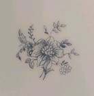 Picture 6 of 6