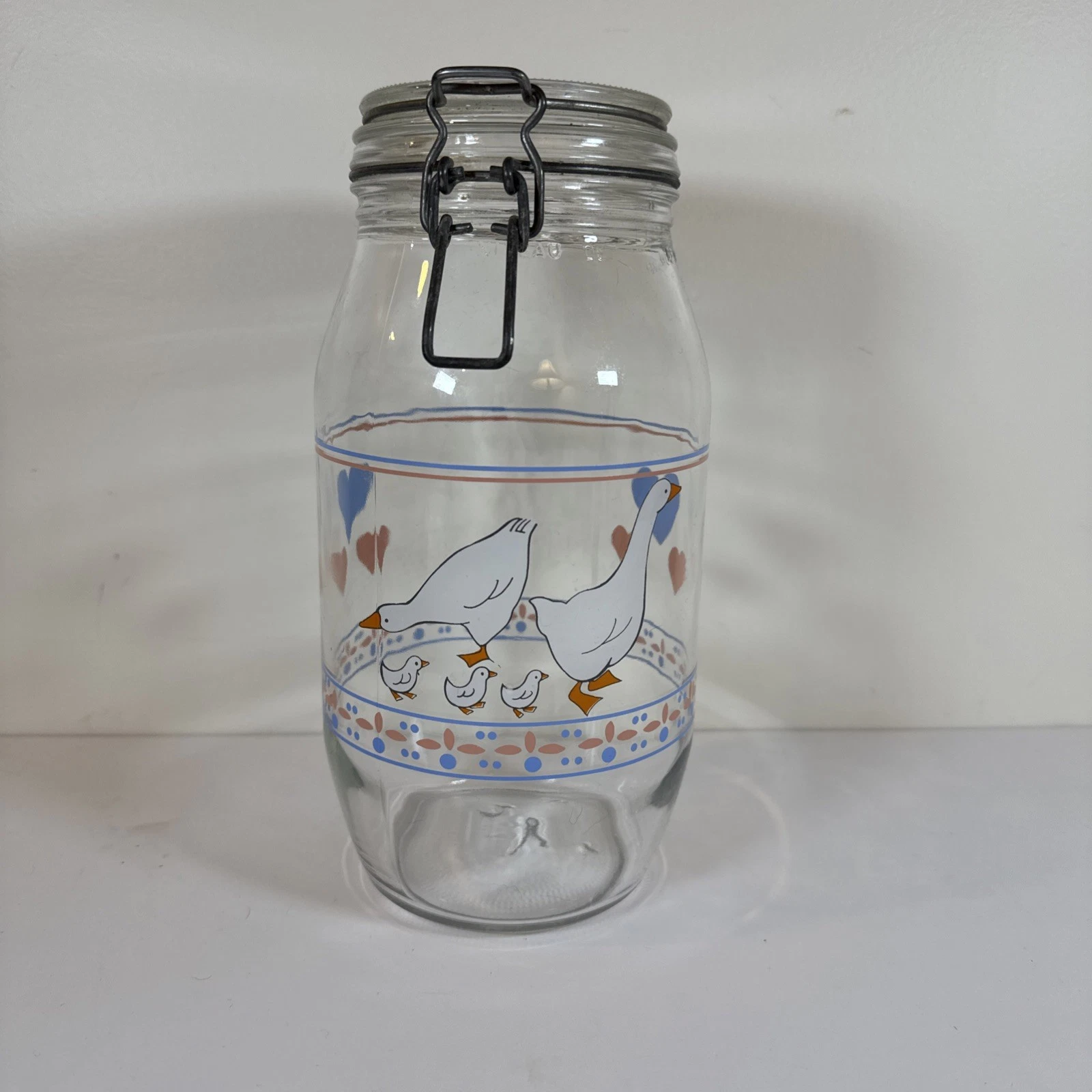 Cottage Core Goose Glass 2L Canister Jar Vintage