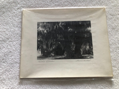 Original Vintage Photography from C. Bennette Moore signed Old Oaks Louisiana