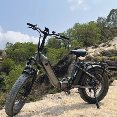 FAFREES FF20 POLAR 24Ah e Bike Klapprad Elektrofahrrad 20 Zoll fatbike Pedelec