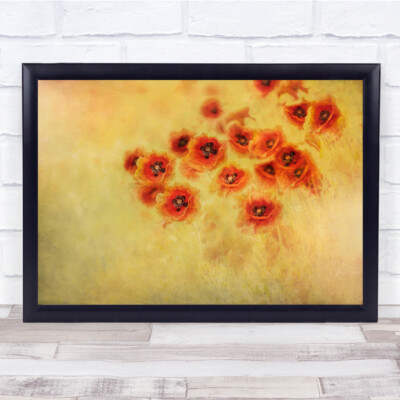 Poppies Red Flowers Exposure Summer Feeling Mood Wall Art Print