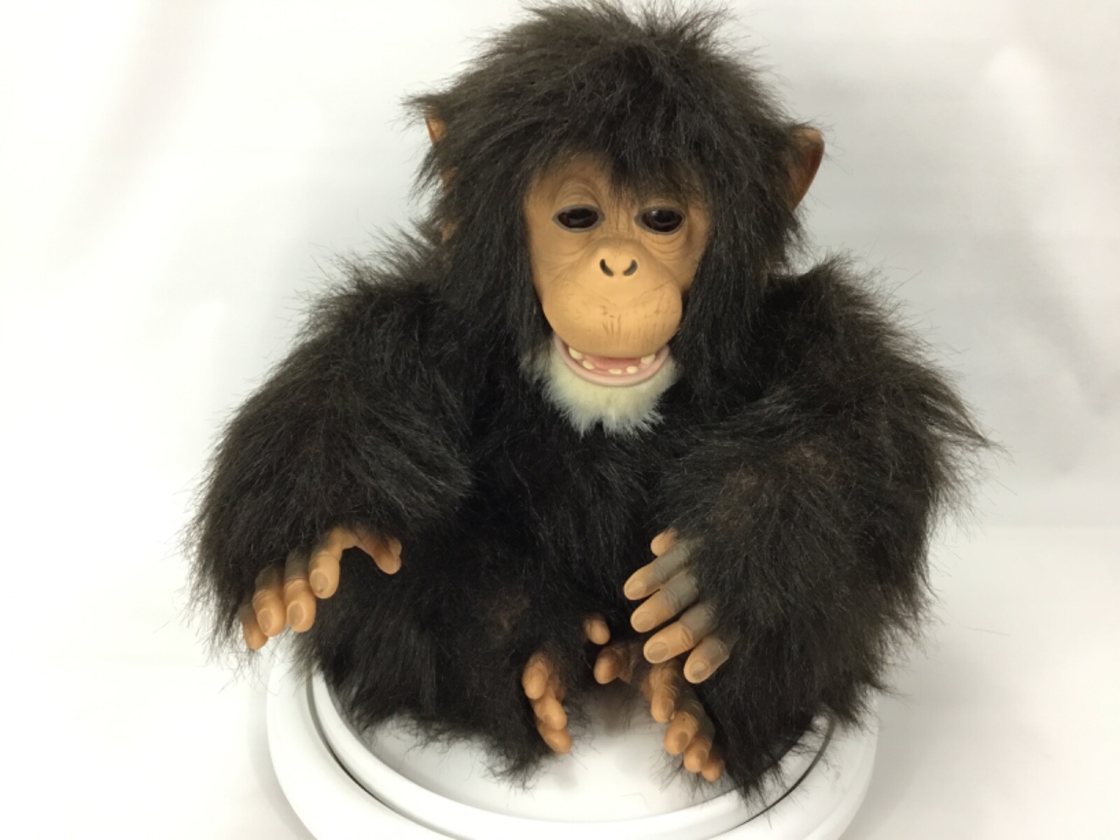 Cuddle Chimp Chimpanzee Interactive 