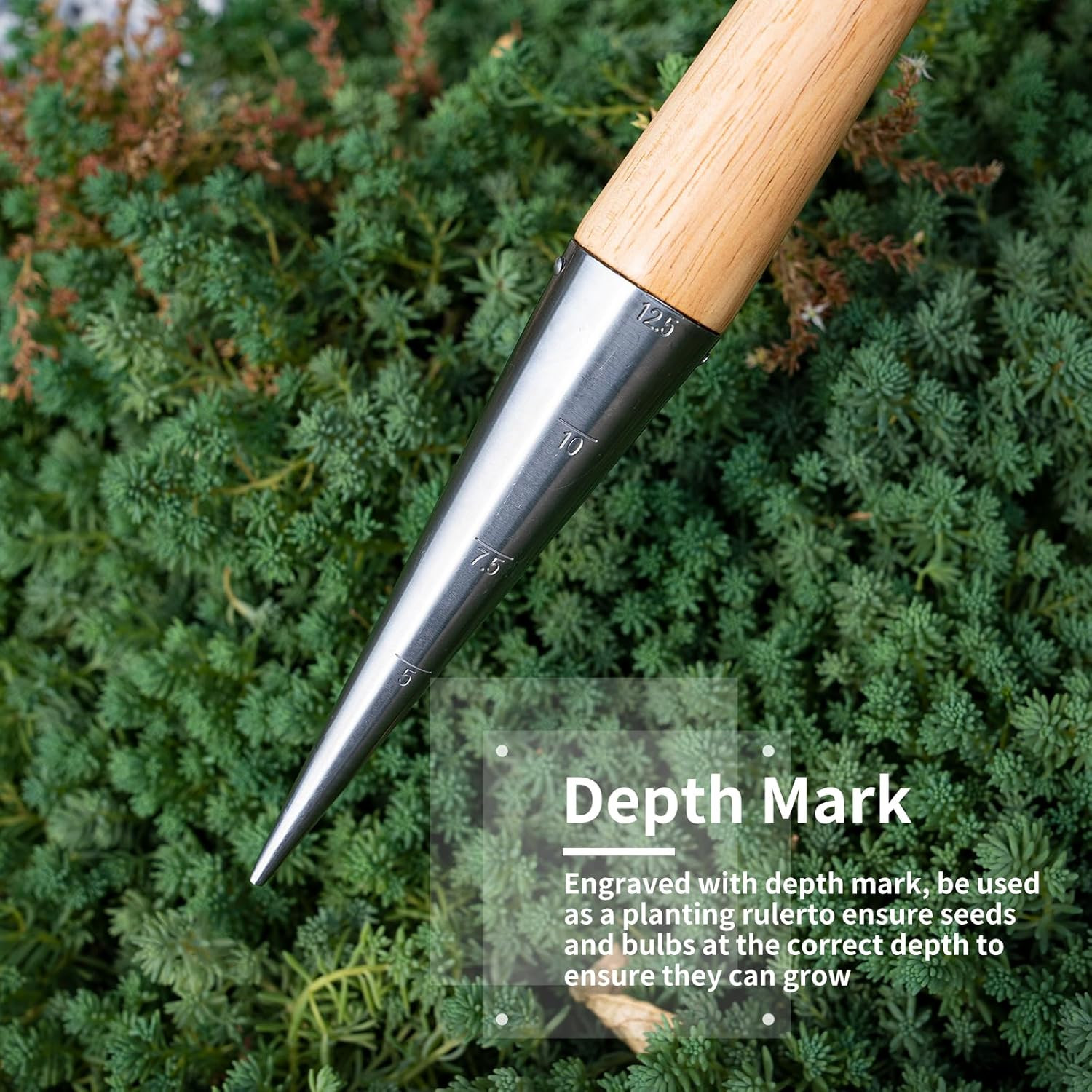 Hand Dibber Garden Tool, Seed Planter Tool with Wood Handle for Sowing Seed - 5"