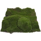 Foto 10 di 12