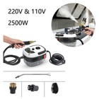 2500W High Temperature High Pressure Mobile Cleaning Machine Steam Cleaner Home