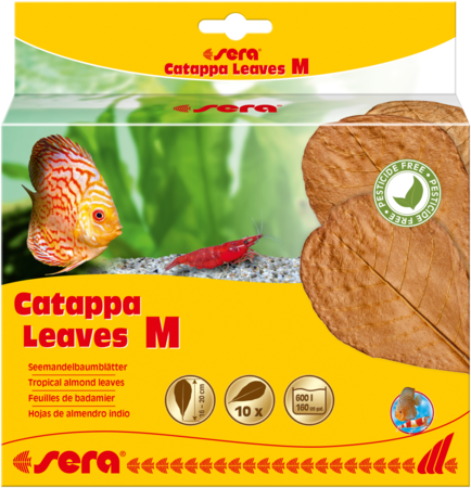 Sera Catappa Leaves M 18 Cm 10 StüCk SeemandelbaumbläTter Wasseraufbereitung-image