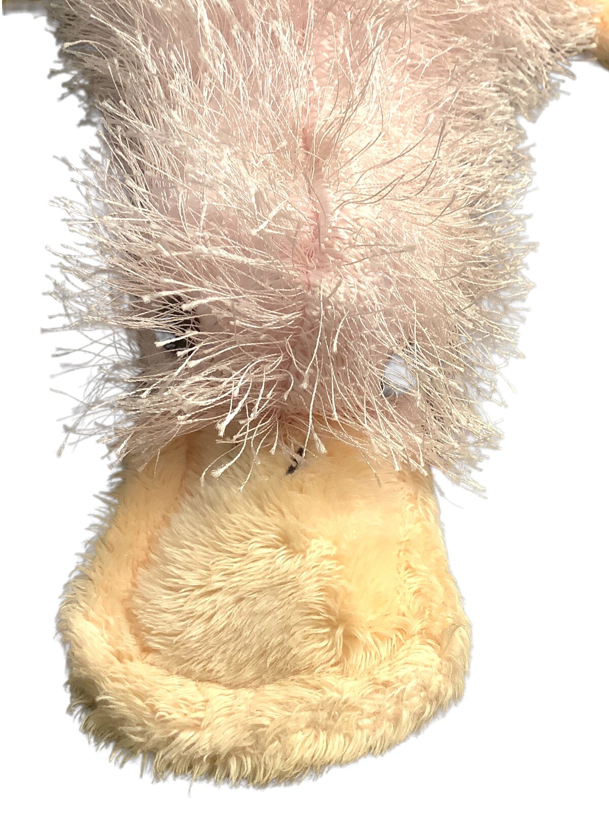 Picture 6 of 7