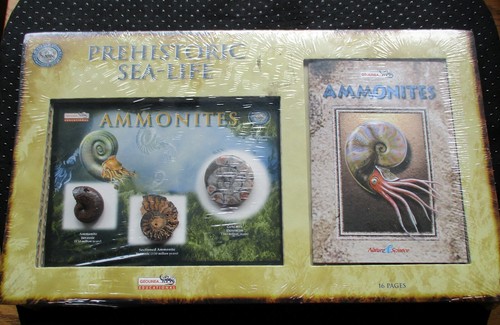 AMONITES PREHISTÓRICOS VIDA MARINA soporte lupa libro y fósiles REGALO Nuevo - Imagen 2 de 5