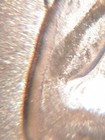 Bild 10 von 12