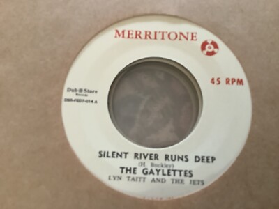 Gaylettes , Silent River Runs Deep , I Like Your World , 7 Merritone.