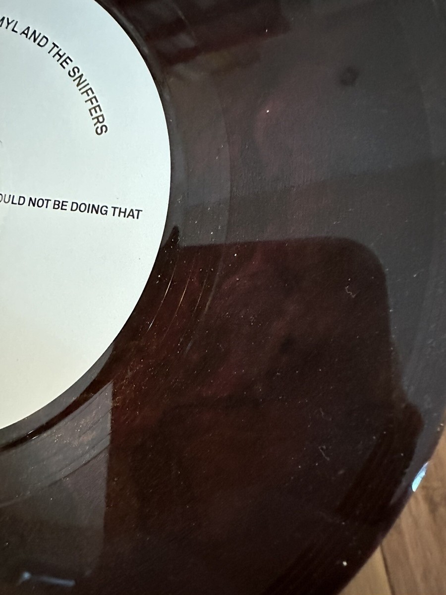 AMYL & THE SNIFFERS 7