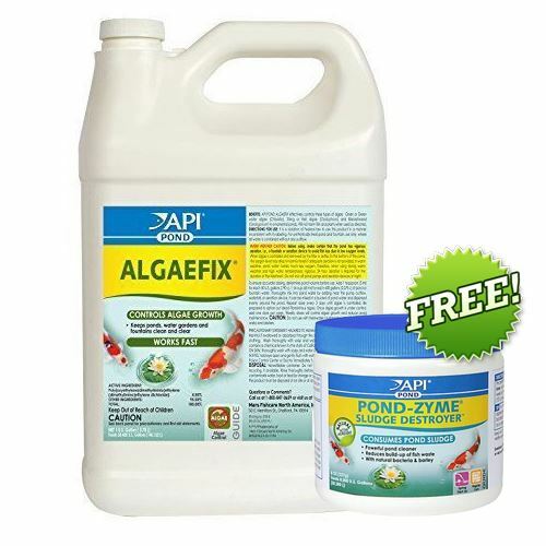 API PondCare AlgaeFix 1 Gallon Pond Algae Control 169C Plus FREE 8 oz Pond Zyme - Picture 1 of 1